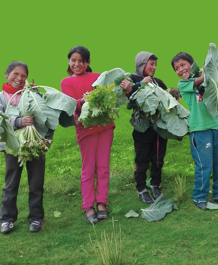 In einigen Schulen der extrem armen Andenregion Acobamba lernen die Kinder in Gewächshäusern den ökologischen Anbau von Gemüse, das dann in der Schule verzehrt wird.
